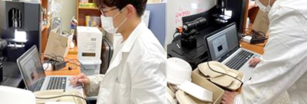 lab